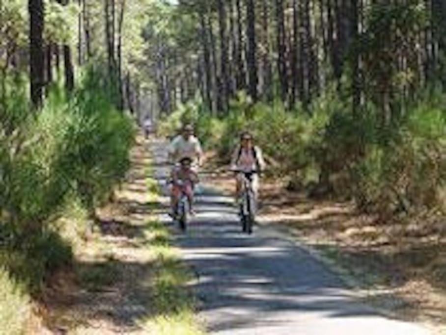 Maison De Vacances 4/5 Personnes A Leon, Landes Esterno foto